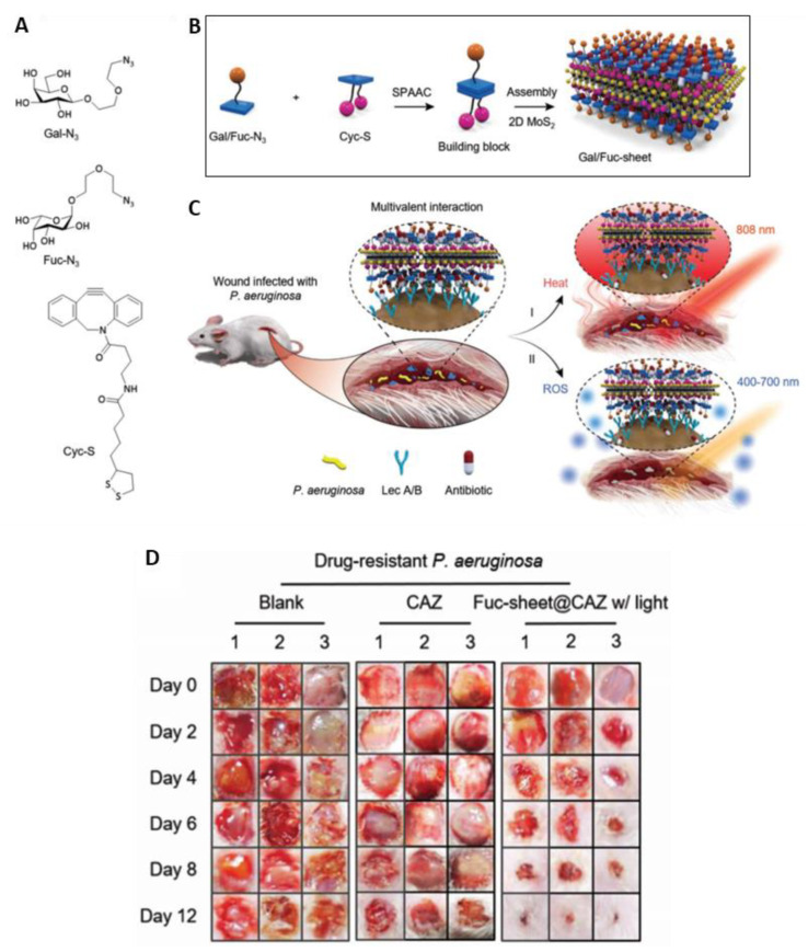 Figure 32