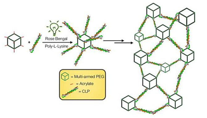 Figure 22