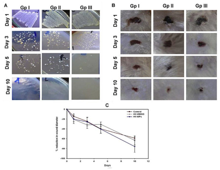 Figure 24