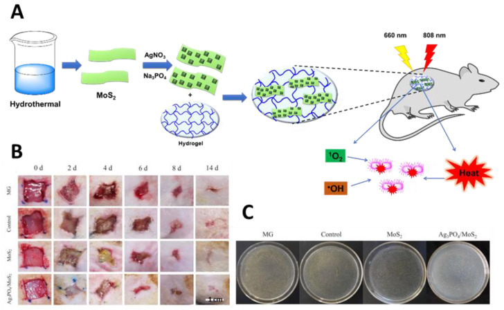 Figure 29