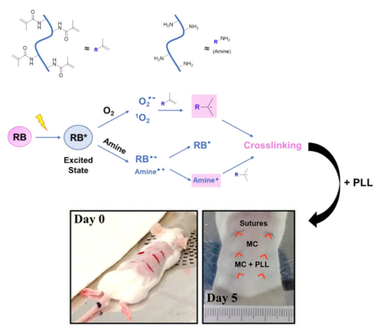 Figure 21