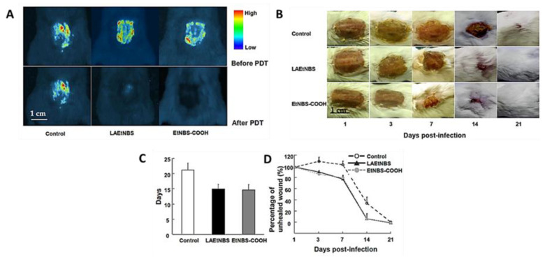 Figure 10