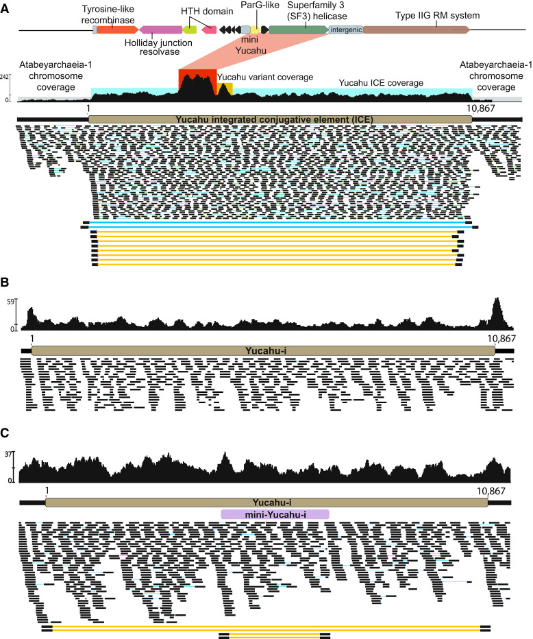 Figure 3.