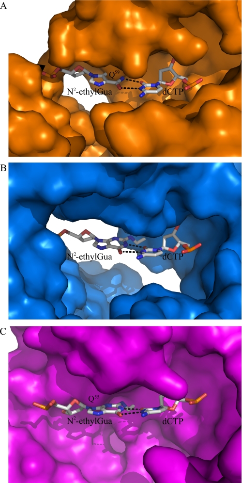 FIGURE 5.