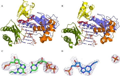 FIGURE 2.