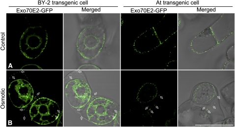 Figure 14.