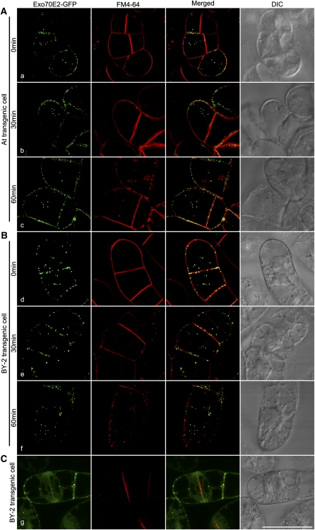 Figure 6.