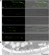 Figure 15.