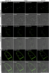 Figure 7.