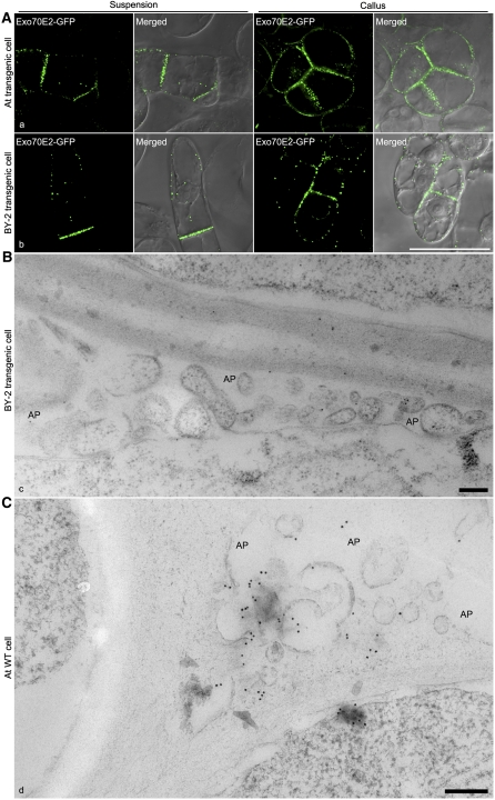 Figure 9.