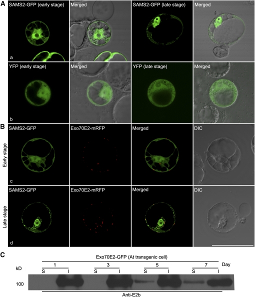 Figure 13.