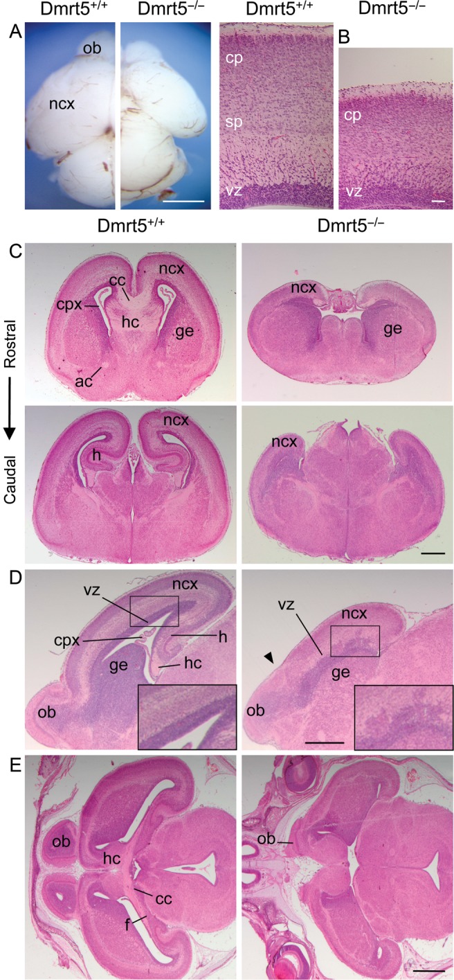 Figure 2.