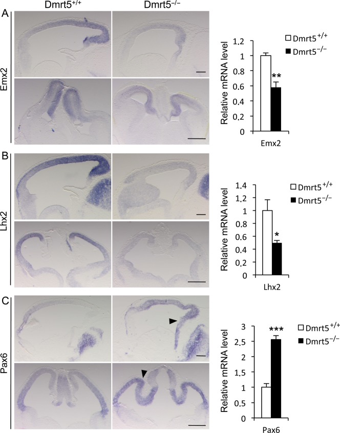 Figure 5.