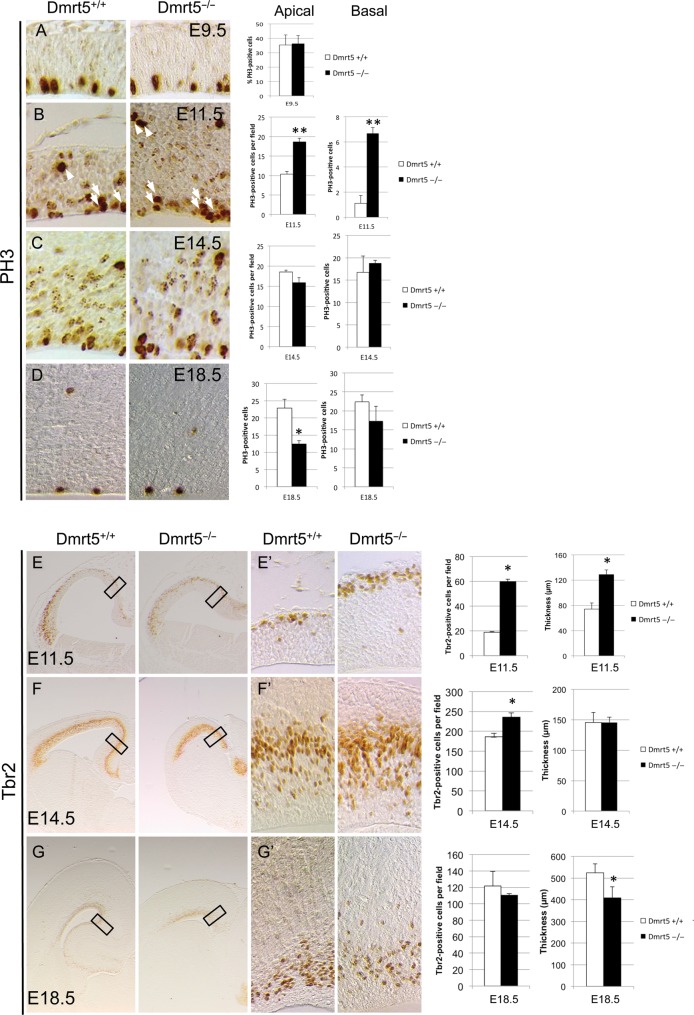 Figure 3.