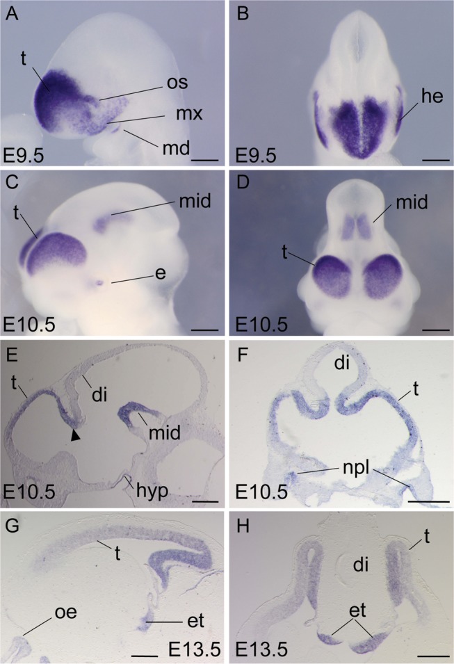 Figure 1.