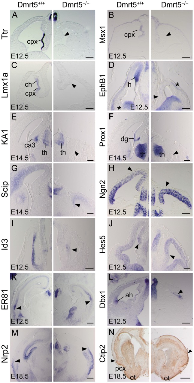 Figure 6.