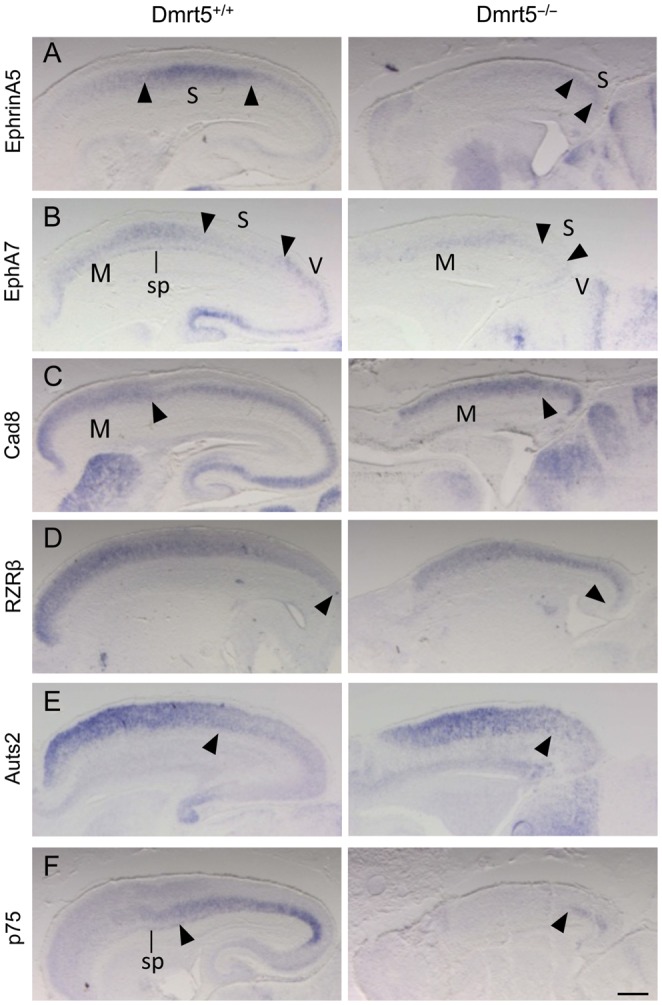 Figure 7.