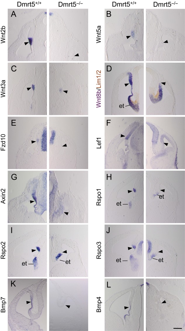 Figure 4.