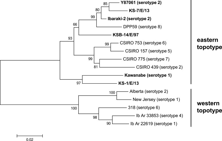 Fig. 3.