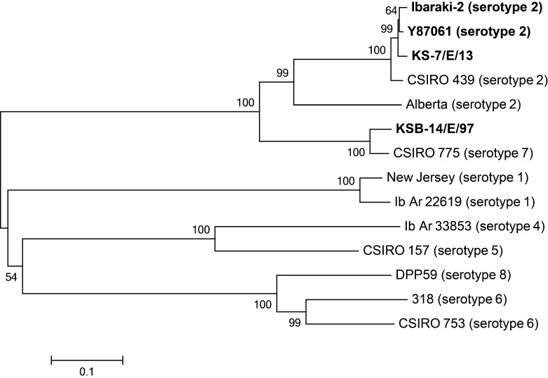 Fig. 4.