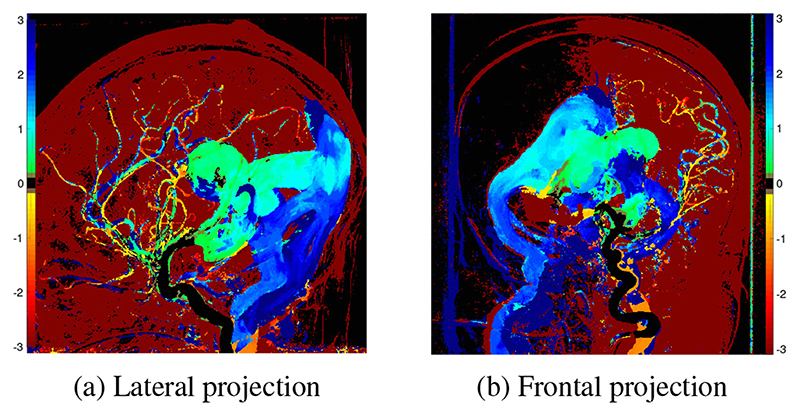 Fig. 4