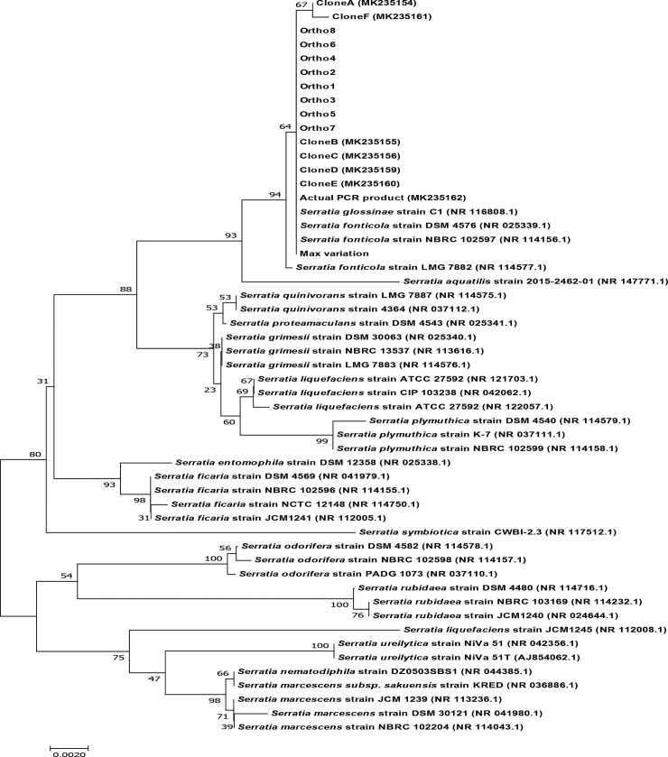 Fig 4