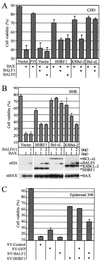 FIG. 5.