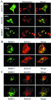 FIG. 7.