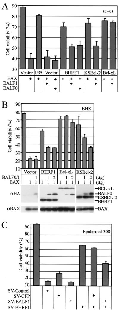 FIG. 5.