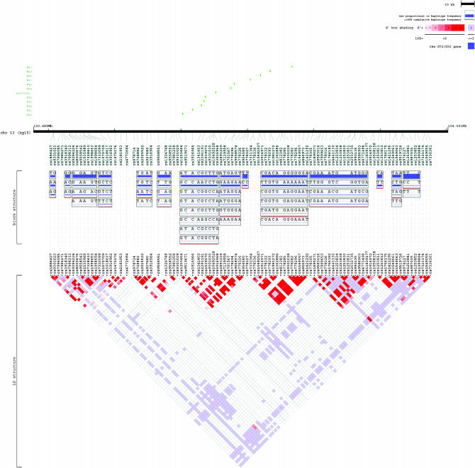 Figure 3.—