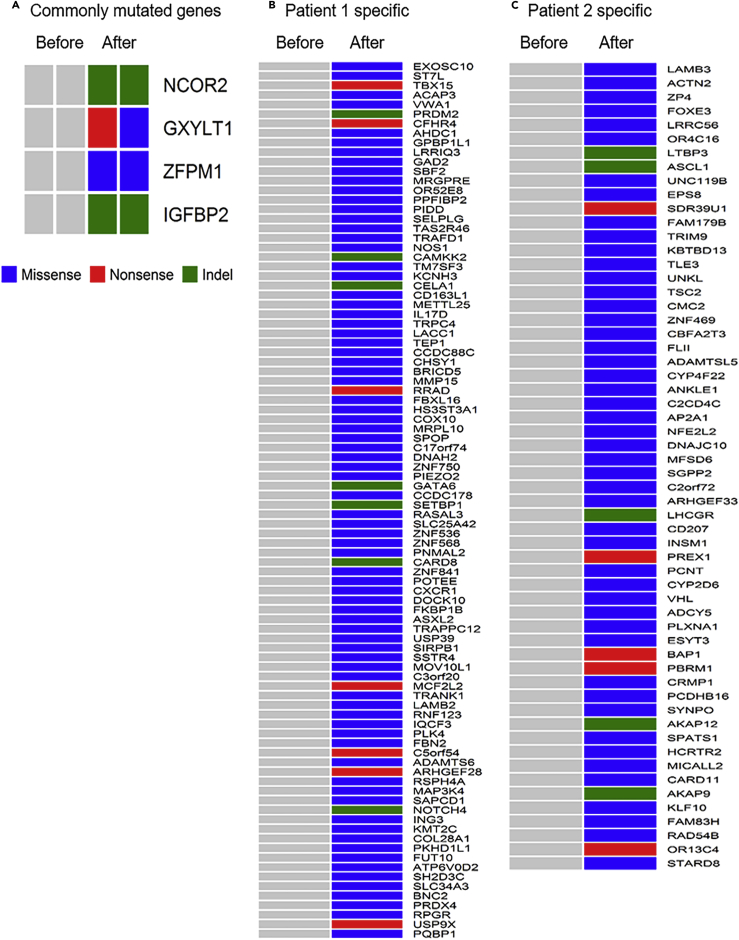 Figure 2