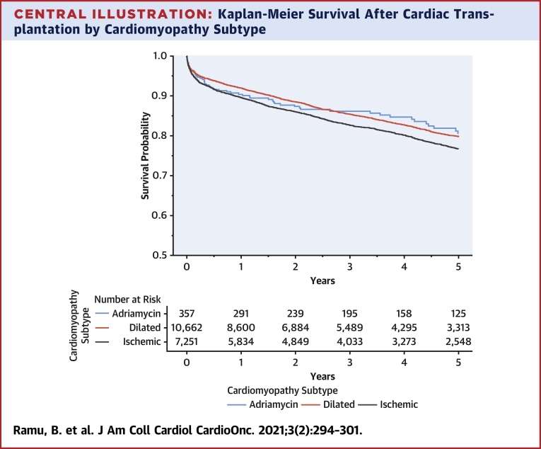 Central Illustration