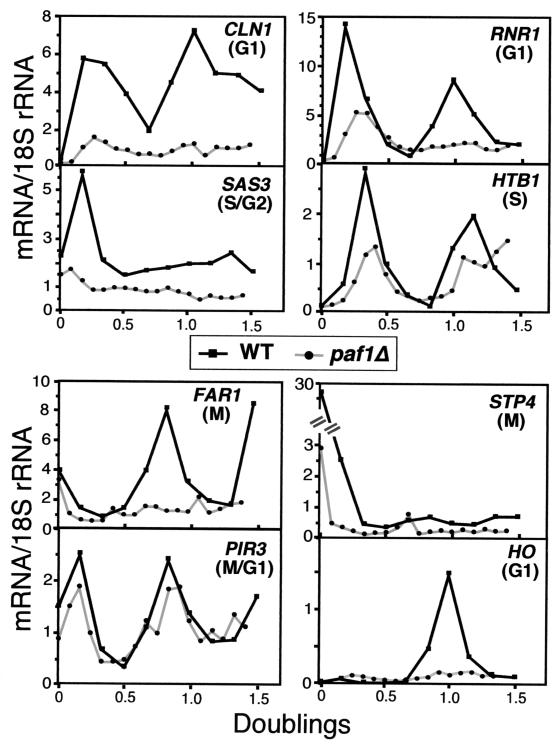 FIG. 3.