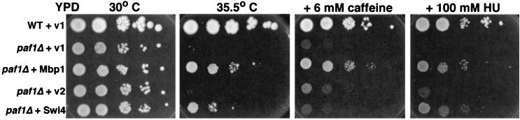 FIG. 8.