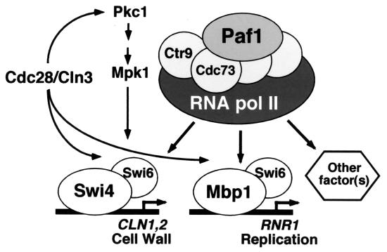 FIG. 10.