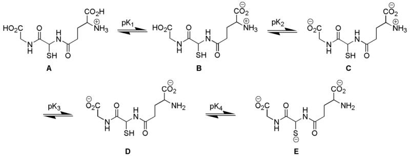 Scheme 5