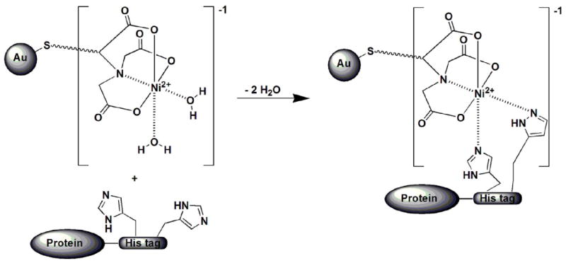 Scheme 7