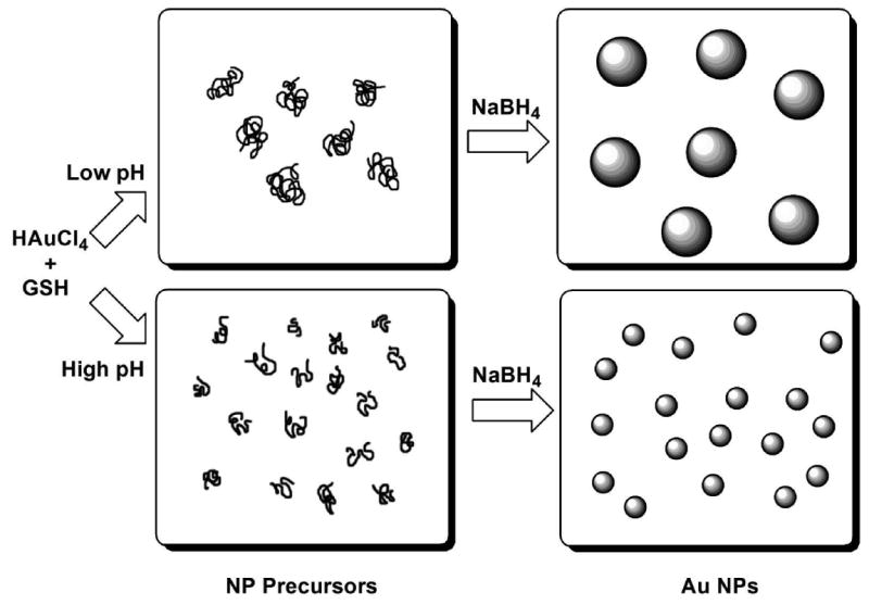 Scheme 6