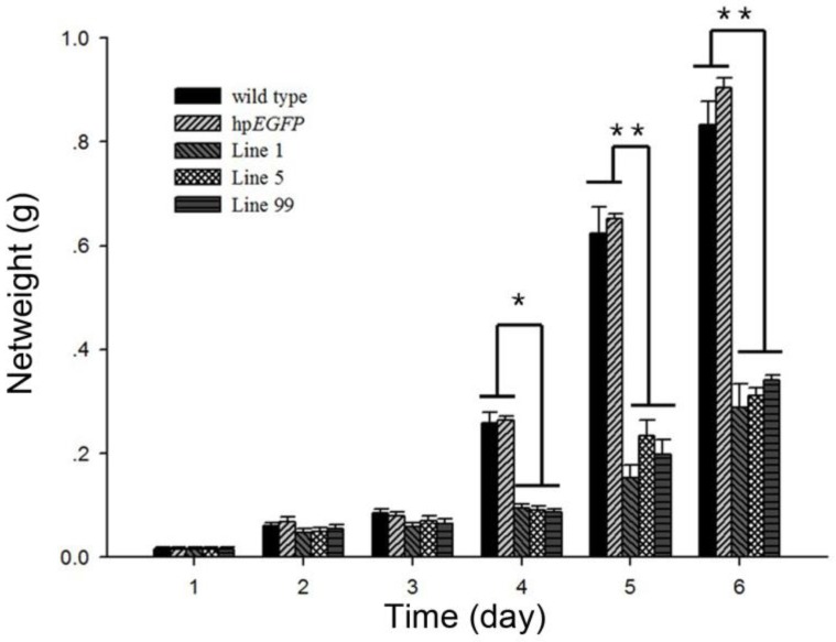 Figure 6