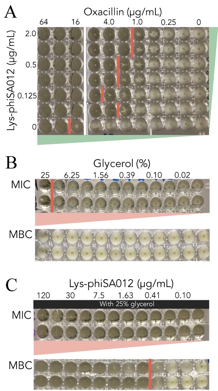 Figure 5