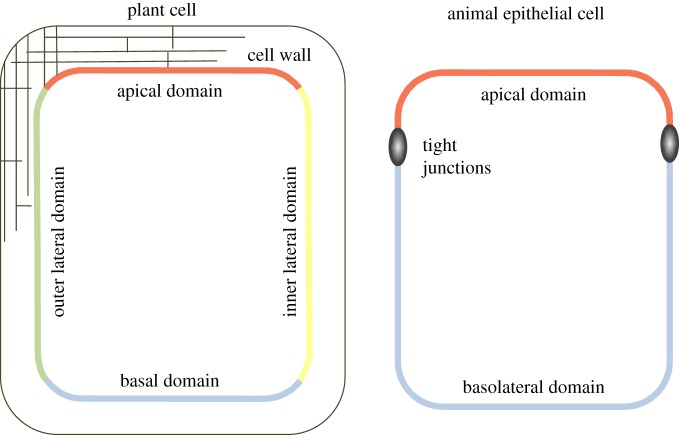 Figure 1.