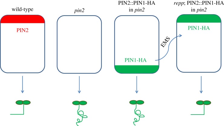 Figure 3.