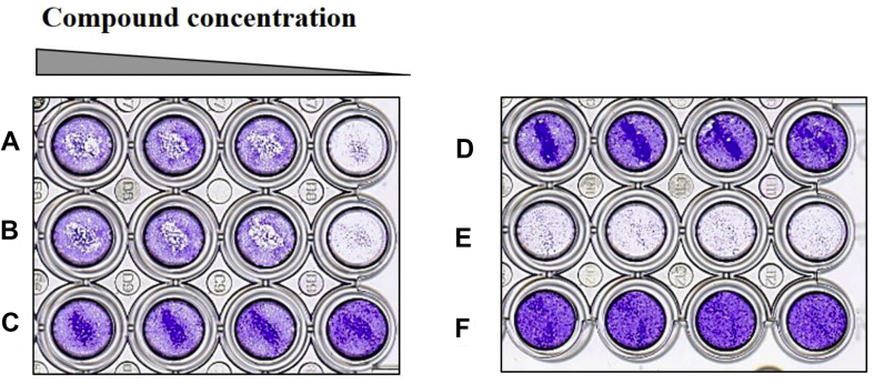 Fig. 2