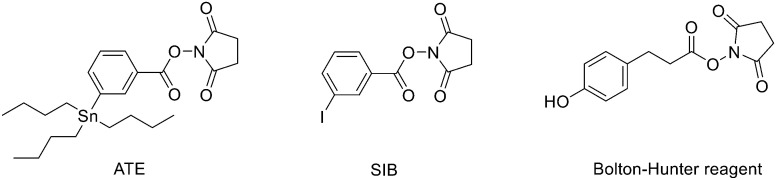 Fig. 11