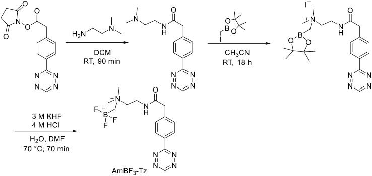 Scheme 6