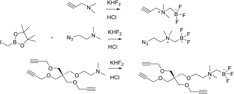 Scheme 5