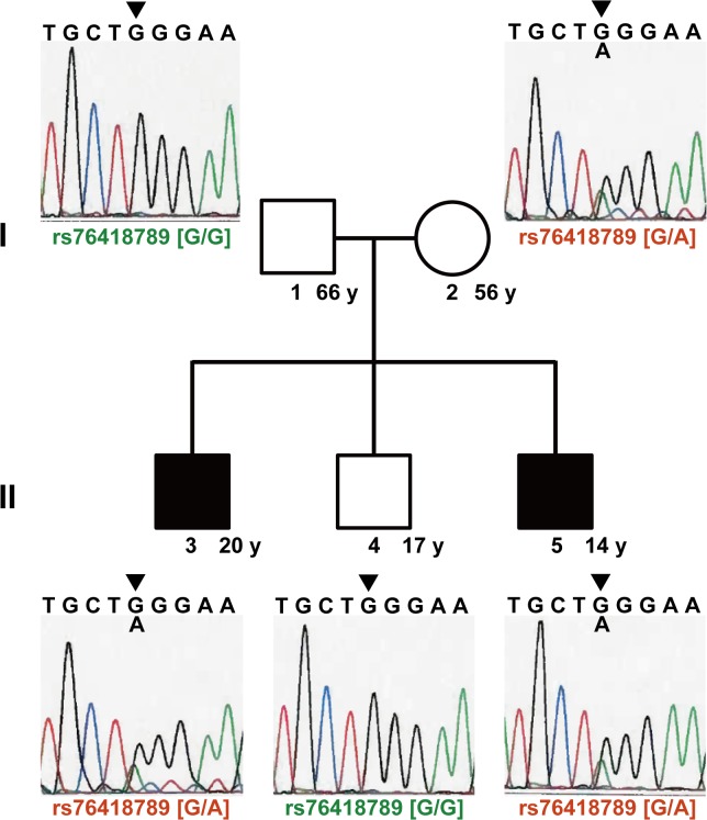 Fig 4