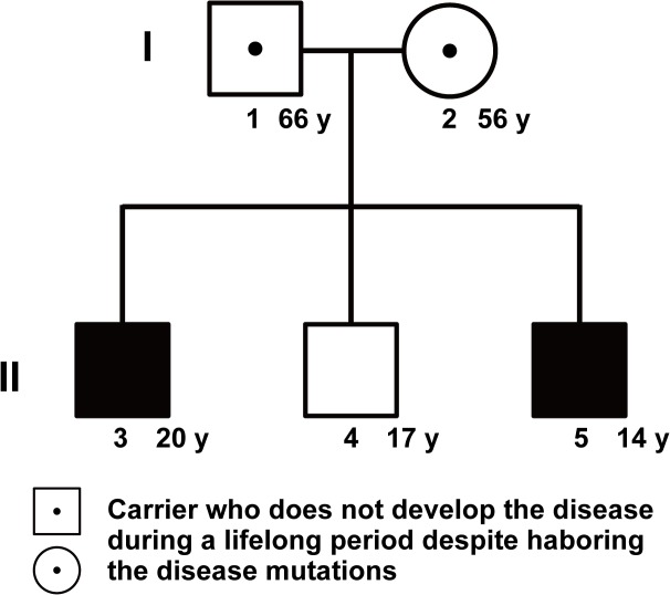 Fig 1