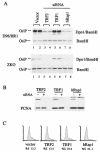 FIG. 6.