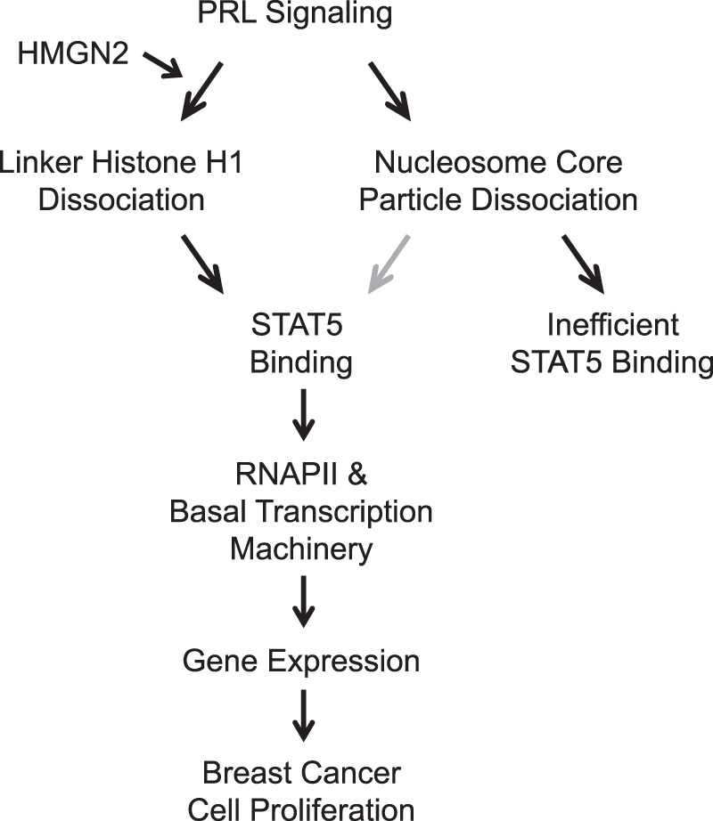 FIGURE 11.